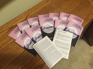 On the left, you'll see the introduction of all the contributing authors in this booklet. On the right, you'll see my mini "bio."